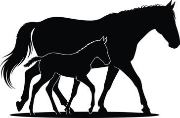 Obraz premium Mother horse and foal walking mare colt