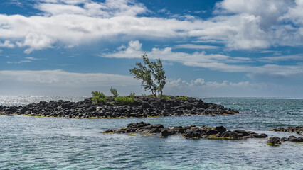 A tiny rocky island in the turquoise ocean. A lonely little tree Casuarina cunninghamiana grows on...