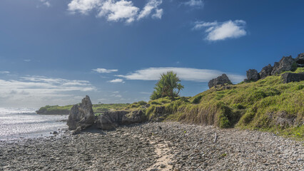 The coast of a tropical island. A scattering of pebbles and boulders on the beach. Green grass and...