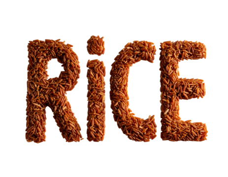 The word “RICE” spelled using brown rice grains, creative typography on white background.