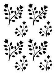 Obraz premium Black floral branches with leaves and flowers leaf