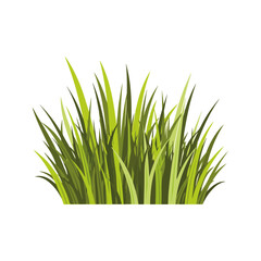 Lush Green Patch of Grass in Vector Style