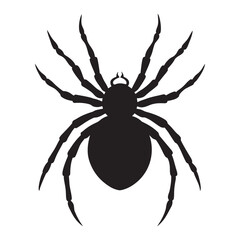 Black silhouette of a spooky spider with eight legs