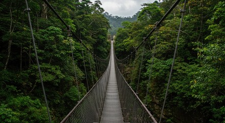 Obraz premium Lush Jungle Suspension Bridge