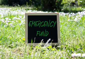 Emergency Fund symbol. Concept word Emergency Fund on chalk blackboard. Beautiful meadow background. Business and Emergency Fund concept. Copy space.