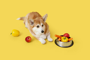 Cute Corgi dog with bowl of fresh vegetables and fruits lying on yellow background
