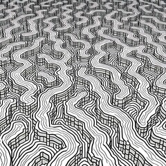 Maze is shown in black and white. The maze is very intricate and has many twists and turns. The maze is so complex that it is difficult to determine where the end is.