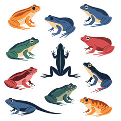 Fototapeta premium An artistic collection of diverse amphibian species showcasing vibrant colors and unique body structures