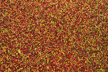 close up of fresh coffee beans for background                 