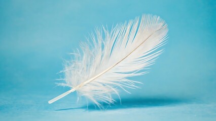 A delicate white feather rests gently against a serene light blue background, casting a soft shadow.