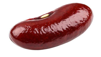 Single red kidney bean isolated on transparent background