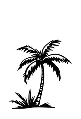 palm tree silhouette