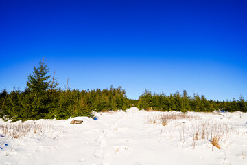 Winter landscape at Langenberg in the Sauerland. Nature with hiking trails in the Rothaargebirge near Willingen.
