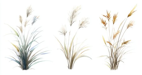 Three stylized grass bunches in muted tones