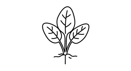Obraz premium Green leafy plant illustration with roots in minimalist style 