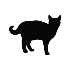 cat silhouette