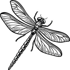 Detailed Black and White Line Drawing of a Dog Illustration for Design Use