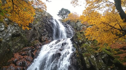 Autumn Waterfall in Majestic Forest.
