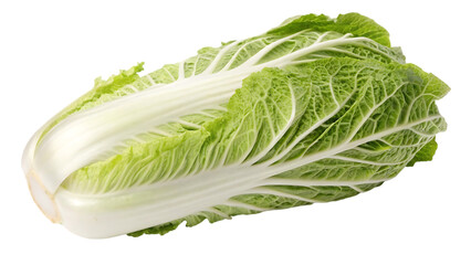 Fresh napa cabbage vegetable isolated on transparent background