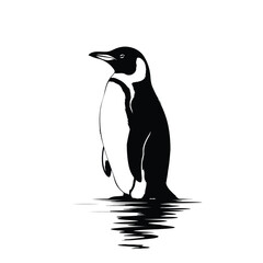 Obraz premium Black and white penguin standing in water bird animal