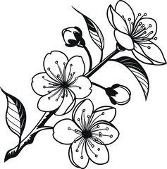 Two Stylized Flowers Botanical Illustration