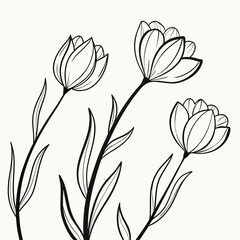 Three Stylized Tulip Like Flowers Minimalist Design