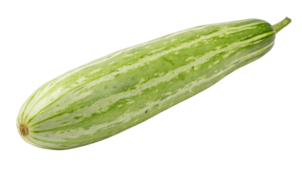 Fresh light green snake gourd vegetable isolated on transparent background