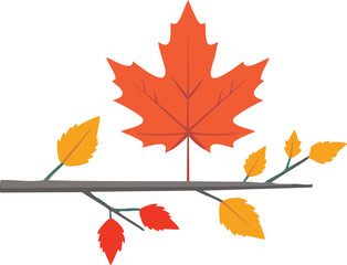 minimal maple leaf with red color autumn colors; composition isolated tree branch