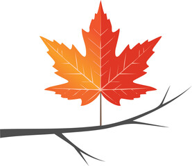 minimal maple leaf with red color autumn colors; composition isolated tree branch