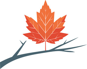 minimal maple leaf with red color autumn colors; composition isolated tree branch