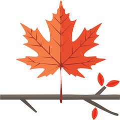 minimal maple leaf with red color autumn colors; composition isolated tree branch