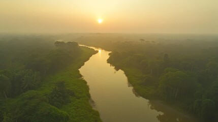Aerial view of a river winding through a lush green rainforest at sunrise. Misty morning light bathes the landscape in a golden hue.