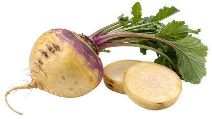 Fresh swede root vegetable with green leaves isolated on transparent background