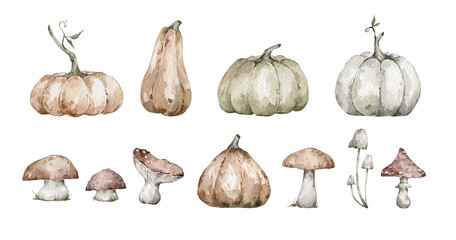 Watercolor pumpkins, autumn plants, harvest season vegetables