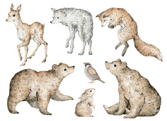 Watercolor forest animals. Deer, fox, wolf, brown bear, hare, sparrow bird. Hand-painted woodland wildlife. Cute creatures