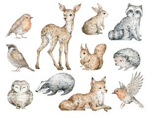 Watercolor forest animals. Deer, fox, squirrel, raccoon, hare, hedgehog, owl, badger, robin bird, sparrow. Hand-painted woodland wildlife. Cute creatures