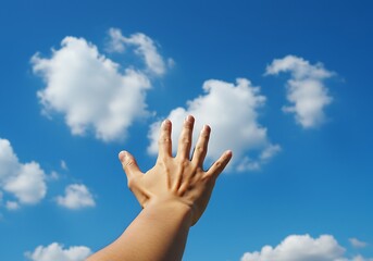 Reaching for the Sky