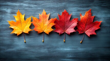 Autumn leaves arranged in a row on a dark surface.