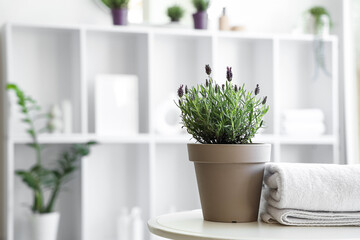 Pot with lavender flowers and towels on coffee table in bathroom, closeup