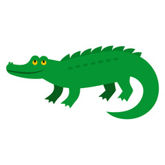 cartoon crocodile isolated on white