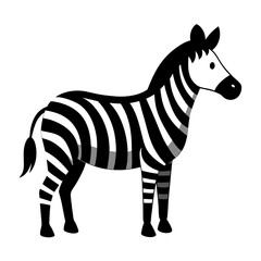 zebra isolated on white background