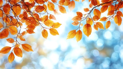 Autumn leaves against a soft, blurred background.