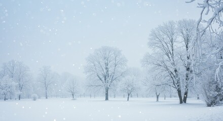 Snowy winter scene with trees covered in frost.
