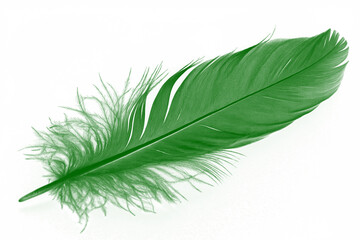 A single vibrant green soft feather with delicate downy plumage, a beautiful natural element. Transparent Background Png image Isolated on white background.