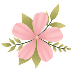 pink flower isolated on white