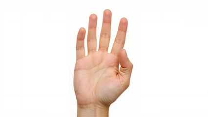 Open Palm with Four Fingers Extended Isolated on White Background - Gesture for Counting, Quantity, or Display