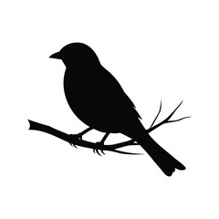 Silhouette of a small bird perched on a branch against a white background