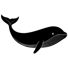 vector illustration of a shark