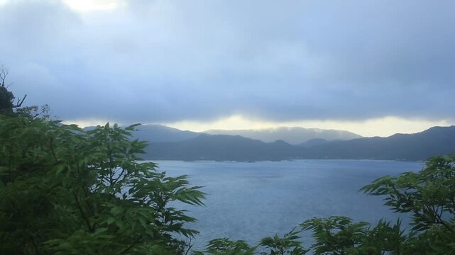 夏の曇り日の奄美大島。