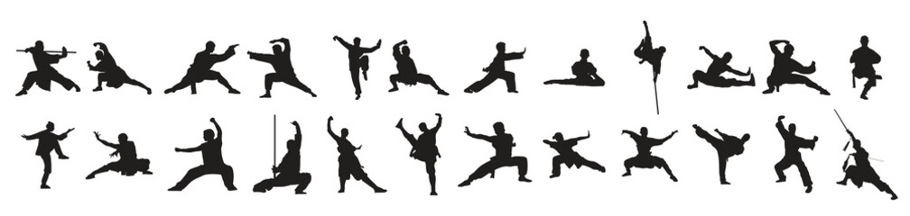 illustration of kung fu s martial arts vector set